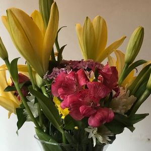 Meet your Posher, Paula